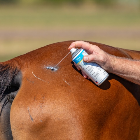 Ezüst spray kisebb sebek vagy sérülések kezelésére, 200 ml
