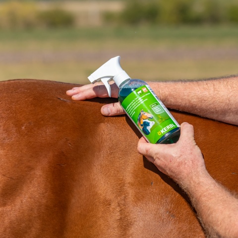 Sebápoló spray, Kerbl, 500 ml