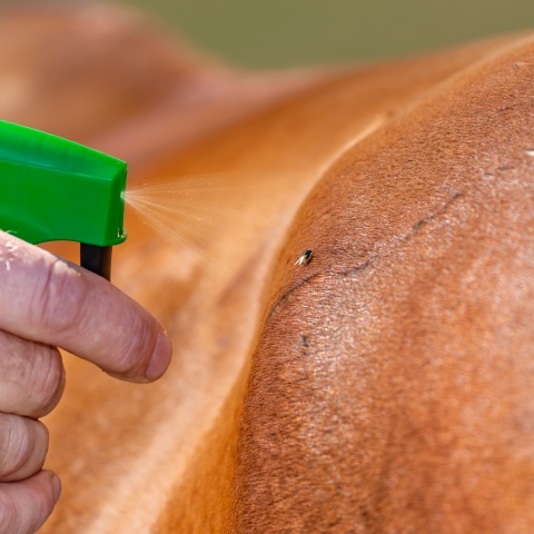 Légyriasztó spray, CIT MuscaBlock, 1 liter