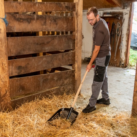 Trágyavilla, fekete, 37 × 43 cm