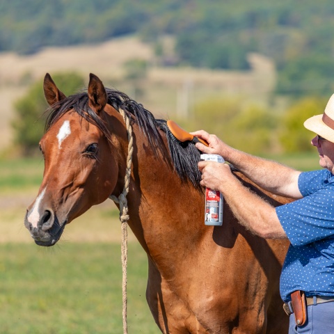 Sörényápoló spray, FrenchKiss illattal, MagicBrush, 500 ml