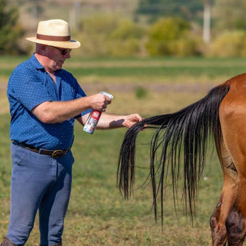 Sörényápoló spray, FrenchKiss illattal, MagicBrush, 500 ml