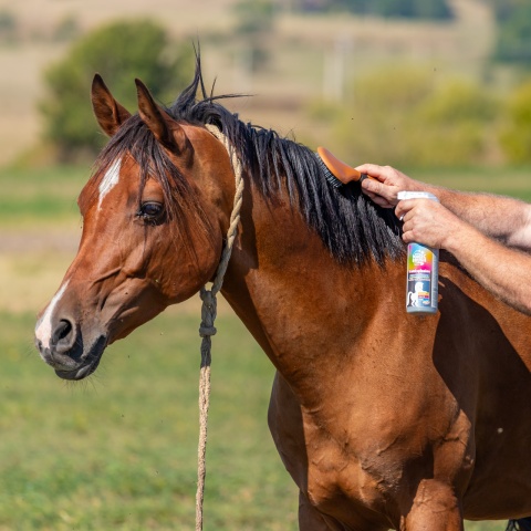 Sörényápoló spray, FruitExplosion illattal, MagicBrush, 500 ml