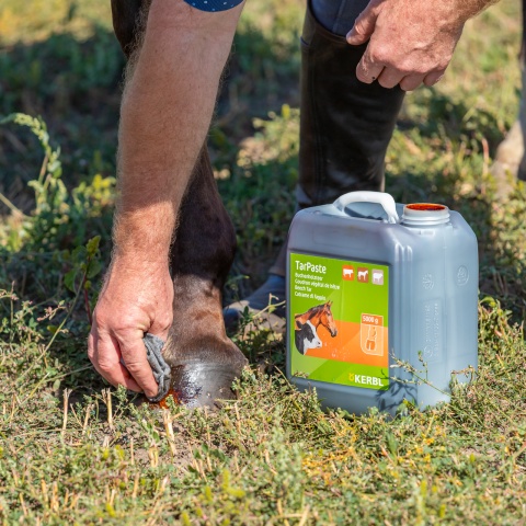 Bükkfakátrány paszta, TarPaste, 5 kg