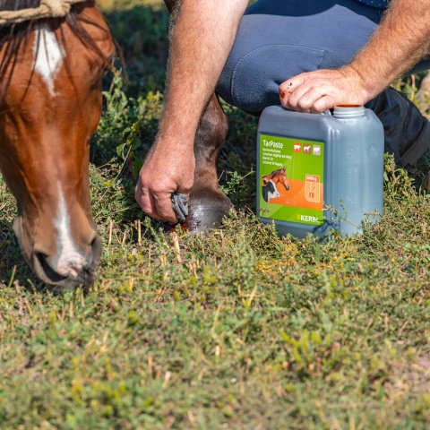 Bükkfakátrány paszta, TarPaste, 5 kg
