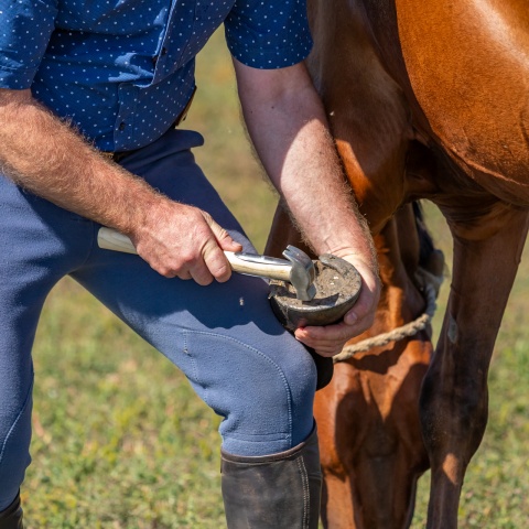 Patkolókalapács megerősített fa nyéllel, ~33 cm