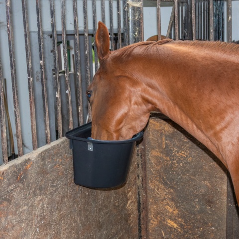 Etetővödör lovaknak, fémrögzítővel és füllel, fekete, 12 literes