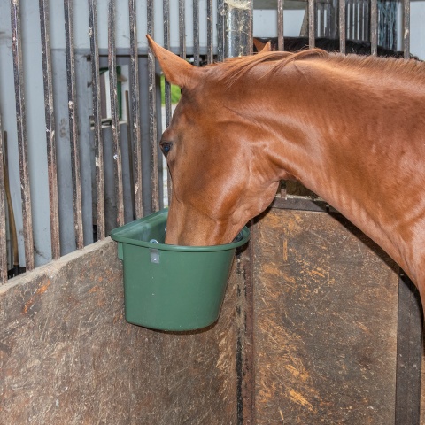 Etetővödör lovaknak, fémrögzítővel és füllel, sötétzöld, 12 literes