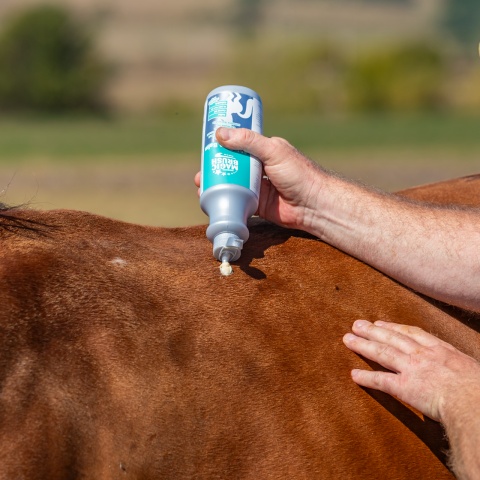 Bőrápoló balzsam lovaknak, MagicBrush, 500 ml