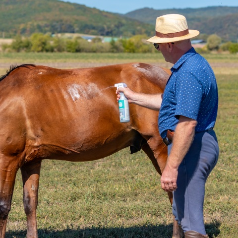 Tisztító spray lovaknak, MagicBrush, 500 ml