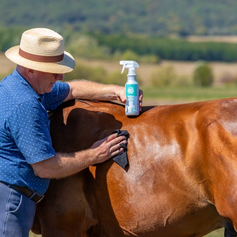 Tisztító spray lovaknak, MagicBrush, 500 ml