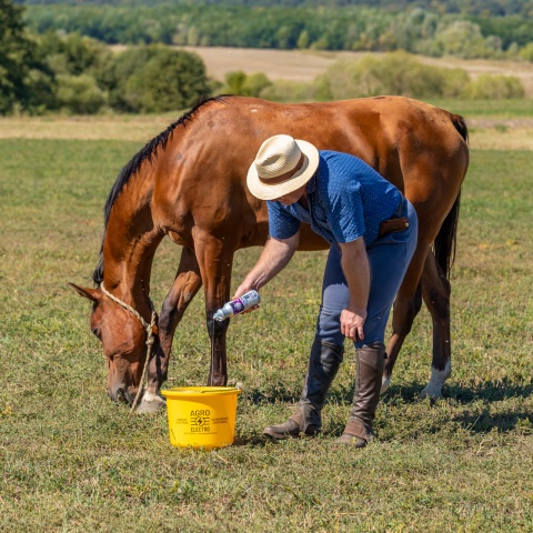 Lósampon, OrientalNights illattal, MagicBrush, 500 ml