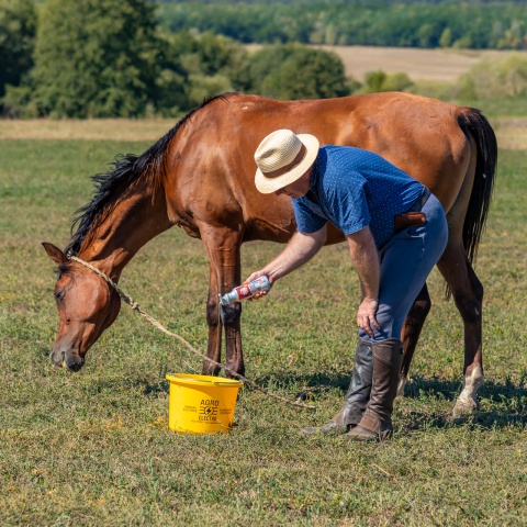 Lósampon, FrenchKiss illattal, MagicBrush, 500 ml