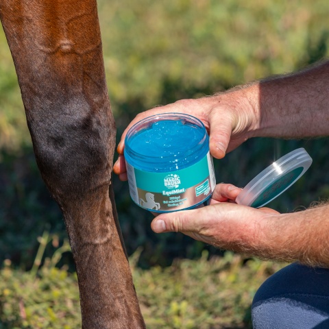 Hűsítő gél lovaknak, MagicBrush EquiMint, 500 ml