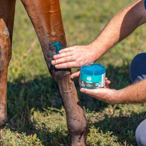 Hűsítő gél lovaknak, MagicBrush EquiMint, 500 ml