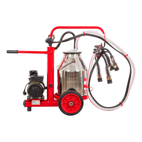 Fejőgép teheneknek, száraz vákuumpumpával, 1 inox 25 literes sajtárral, eco