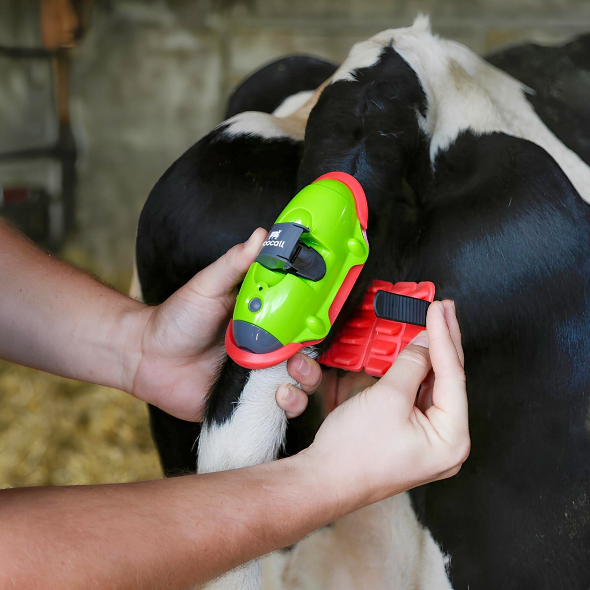 Ellési szenzor, Moocall