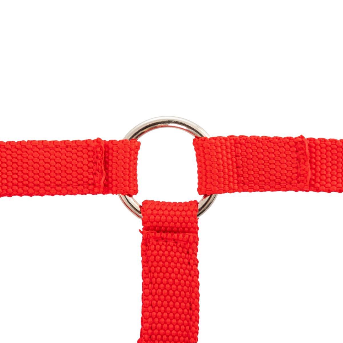 Kötőfék alpakáknak, piros