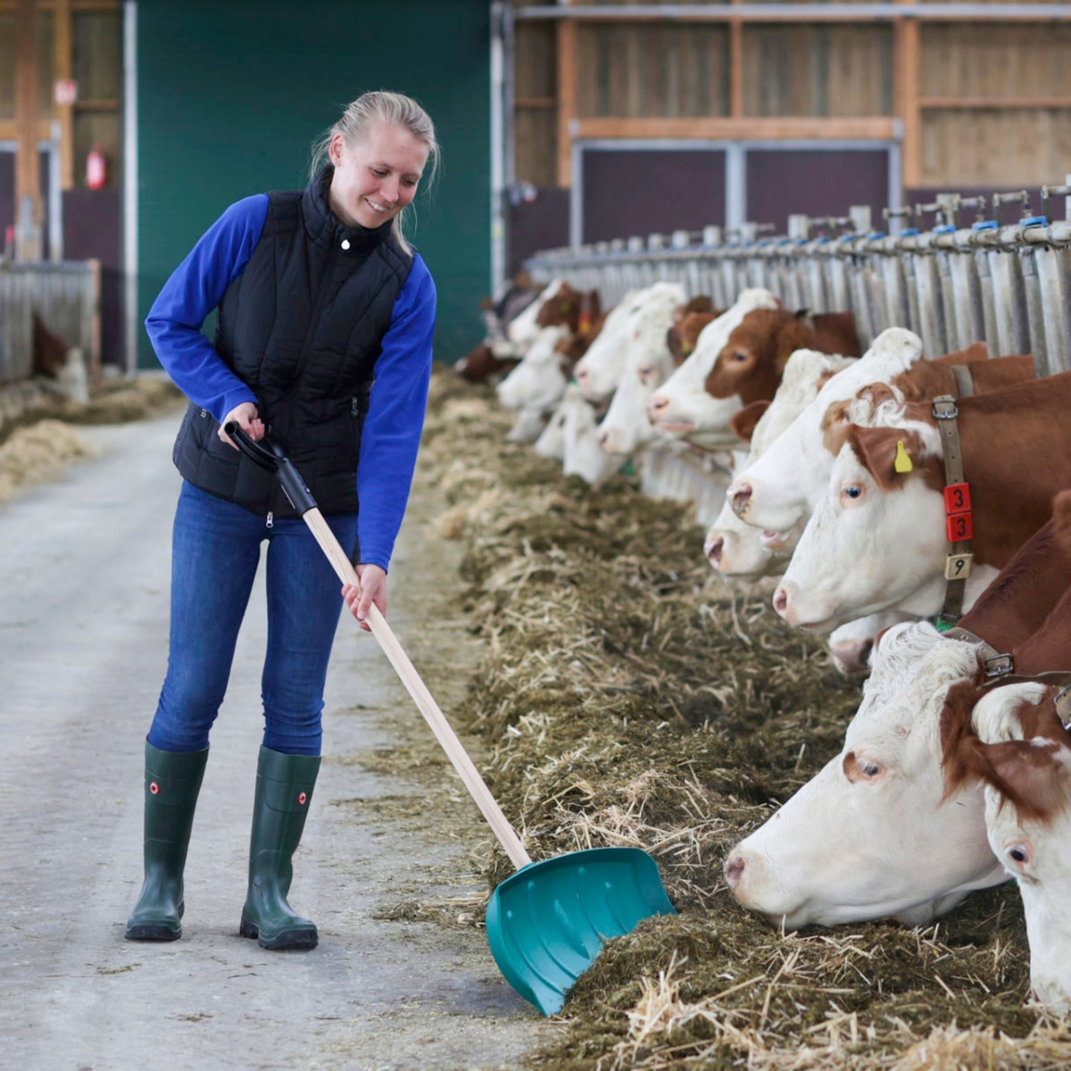 Takarmánylapát, nyél nélkül, 65 × 27 cm