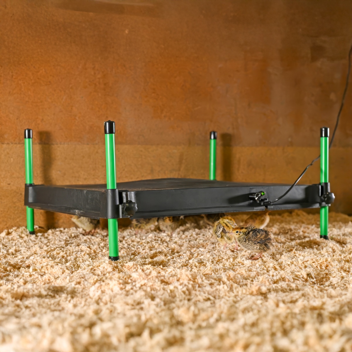 Fűtőlap csibéknek, CosyHeat, 40 × 50 cm