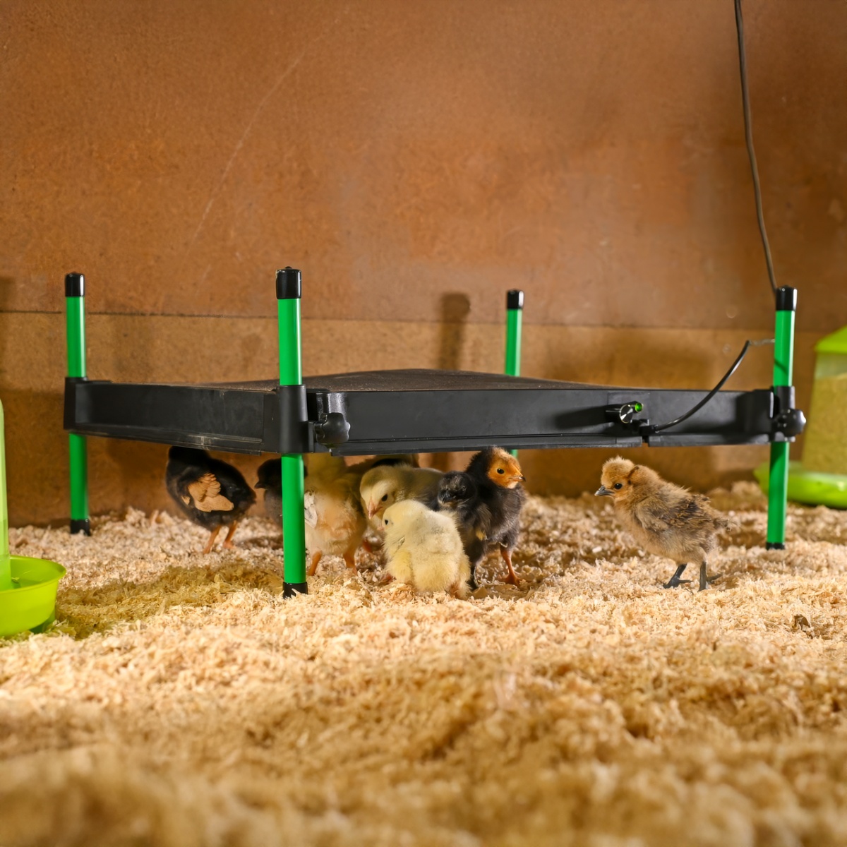 Csibemelegítő lap, CosyHeat, 40 × 50 cm