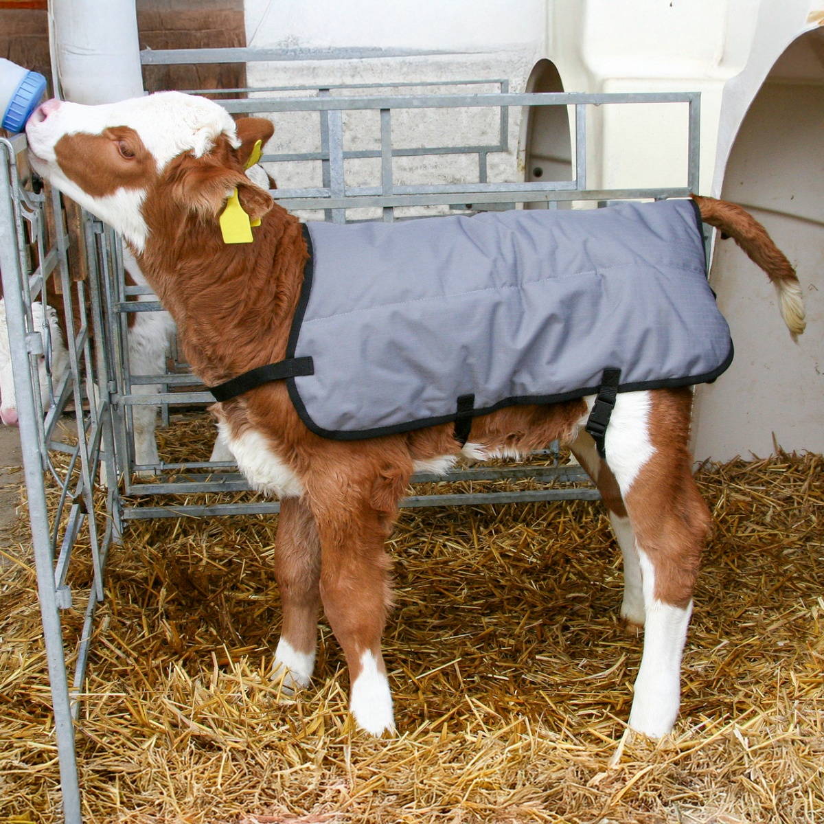 Vízálló borjútakaró, szürke, 70 × 70 cm