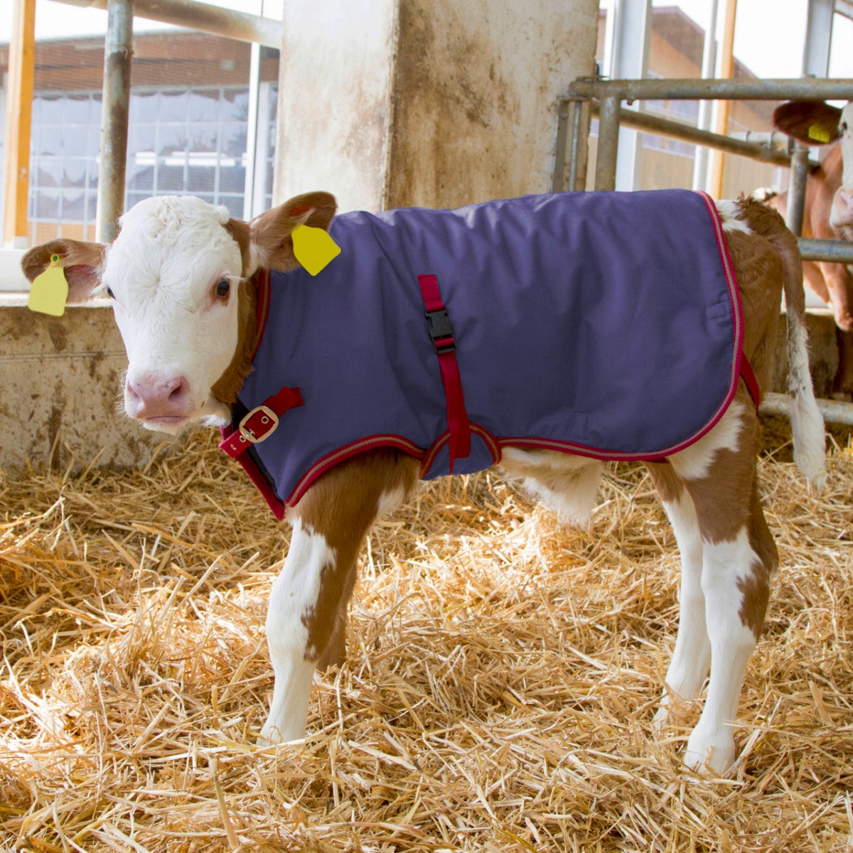 Vízálló borjútakaró, ThermoPlus, sötétkék, 70 × 70 cm