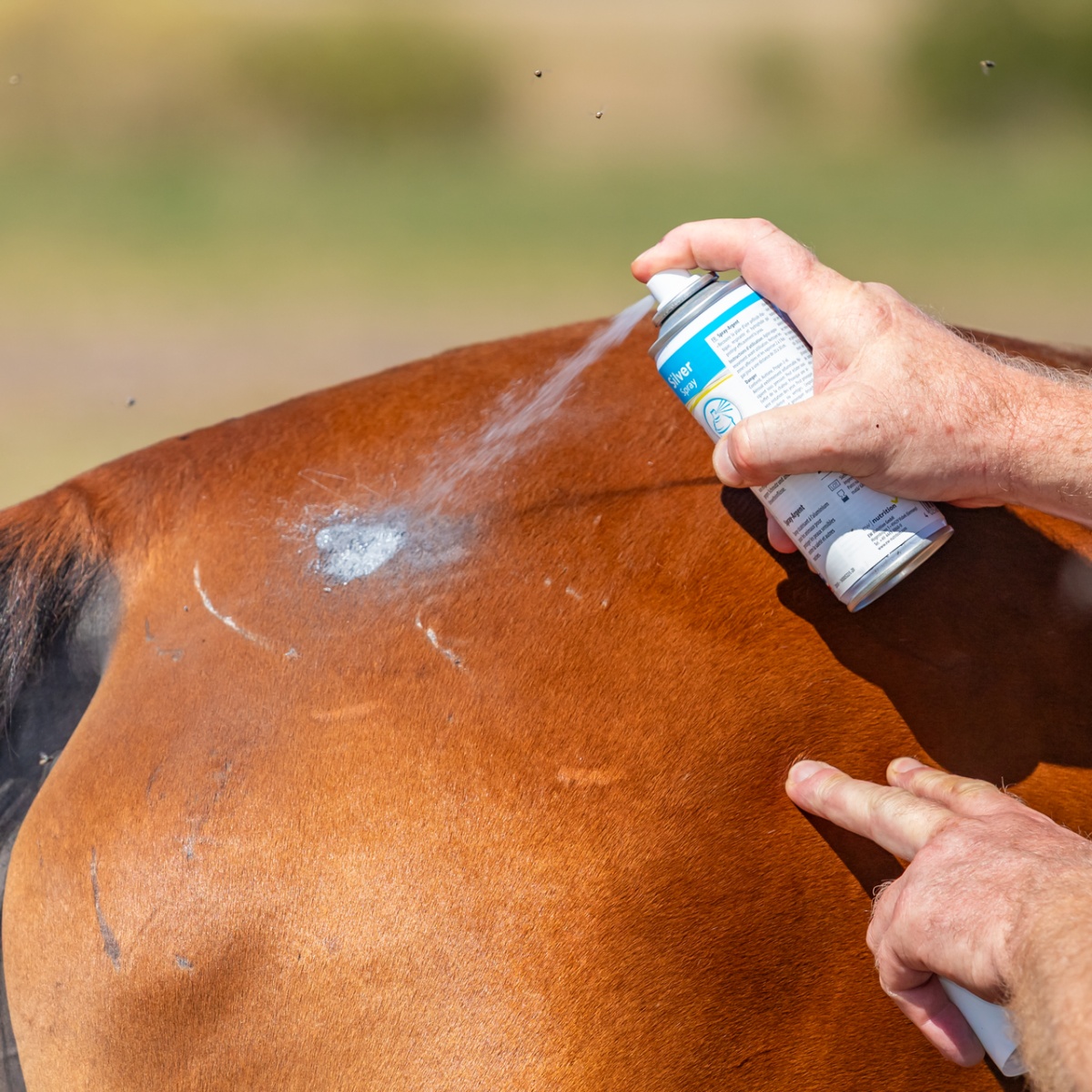 Ezüst spray kisebb sebek vagy sérülések kezelésére, 200 ml