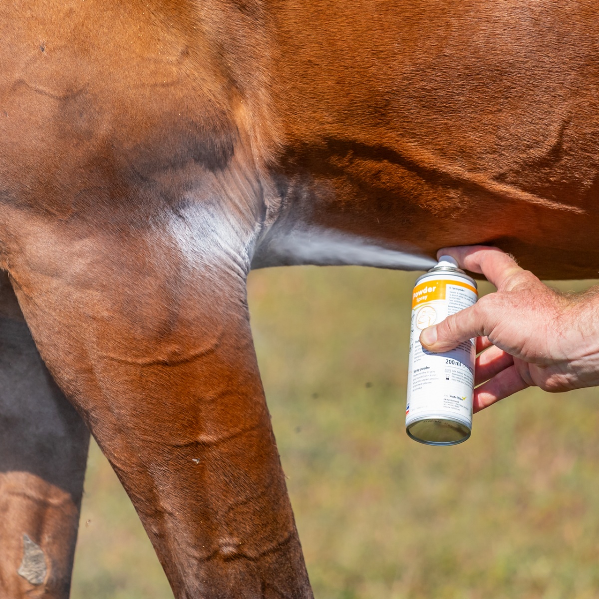 Púderspray (Spray Powder) - védelem és ápolás érzékeny állati bőrre, 200 ml