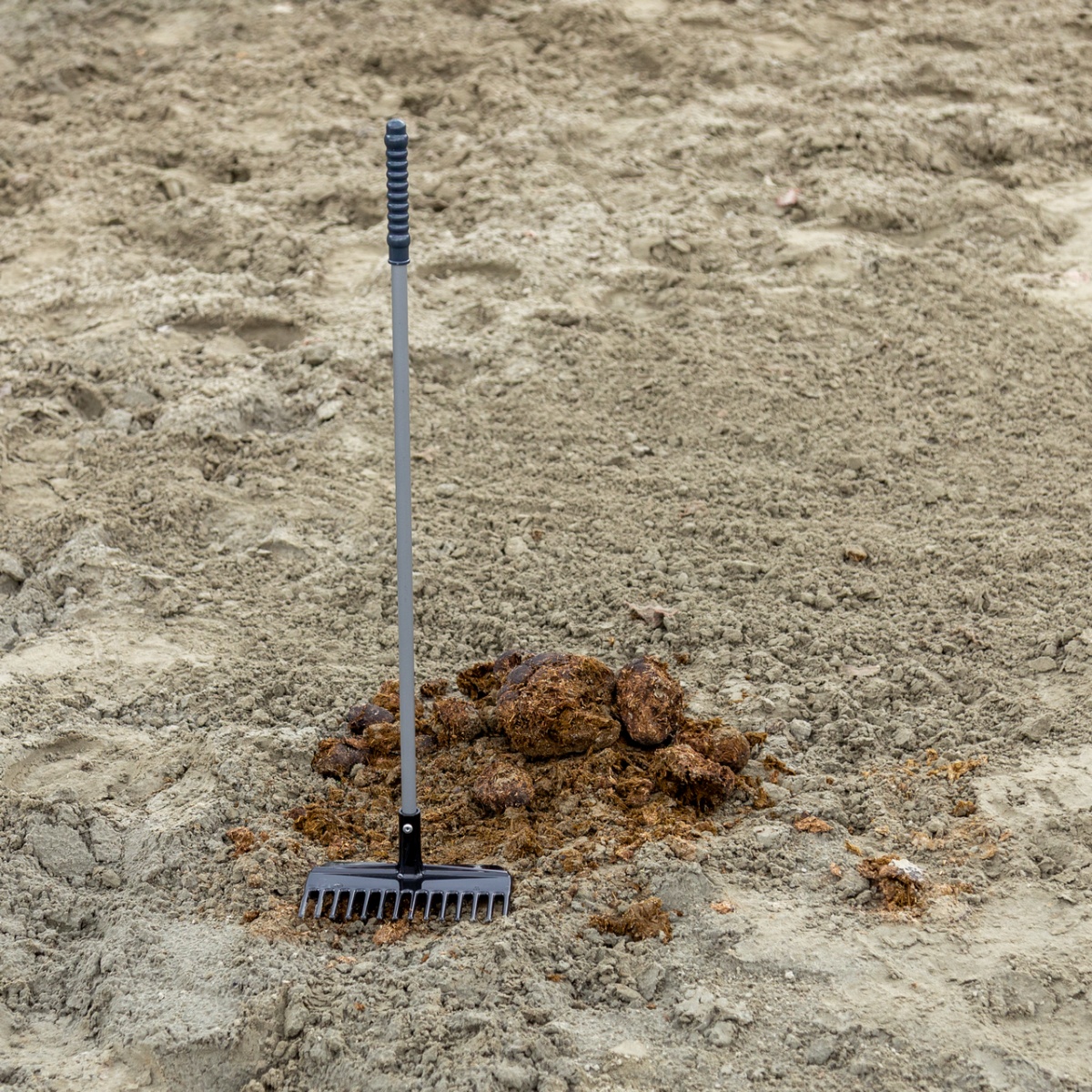 Mistboy trágyagereblye, fekete, 75 cm