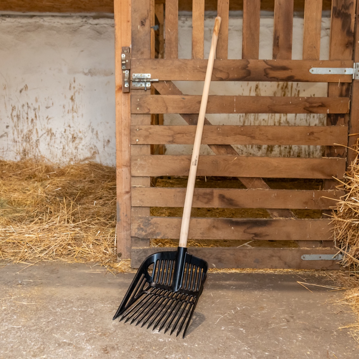 Trágyavilla, fekete