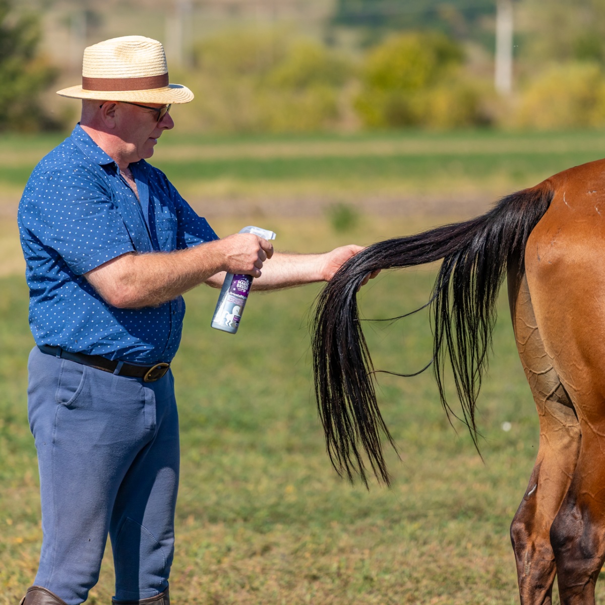 Sörényápoló spray, OrientalNights illattal, MagicBrush, 500 ml