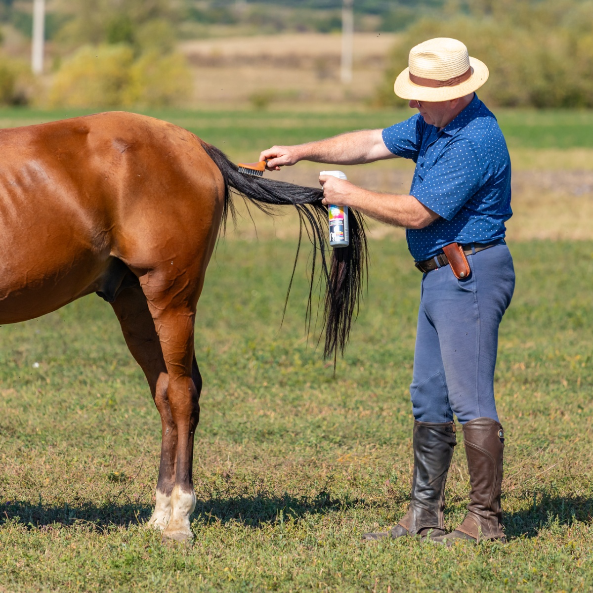 Sörényápoló spray, FruitExplosion illattal, MagicBrush, 500 ml