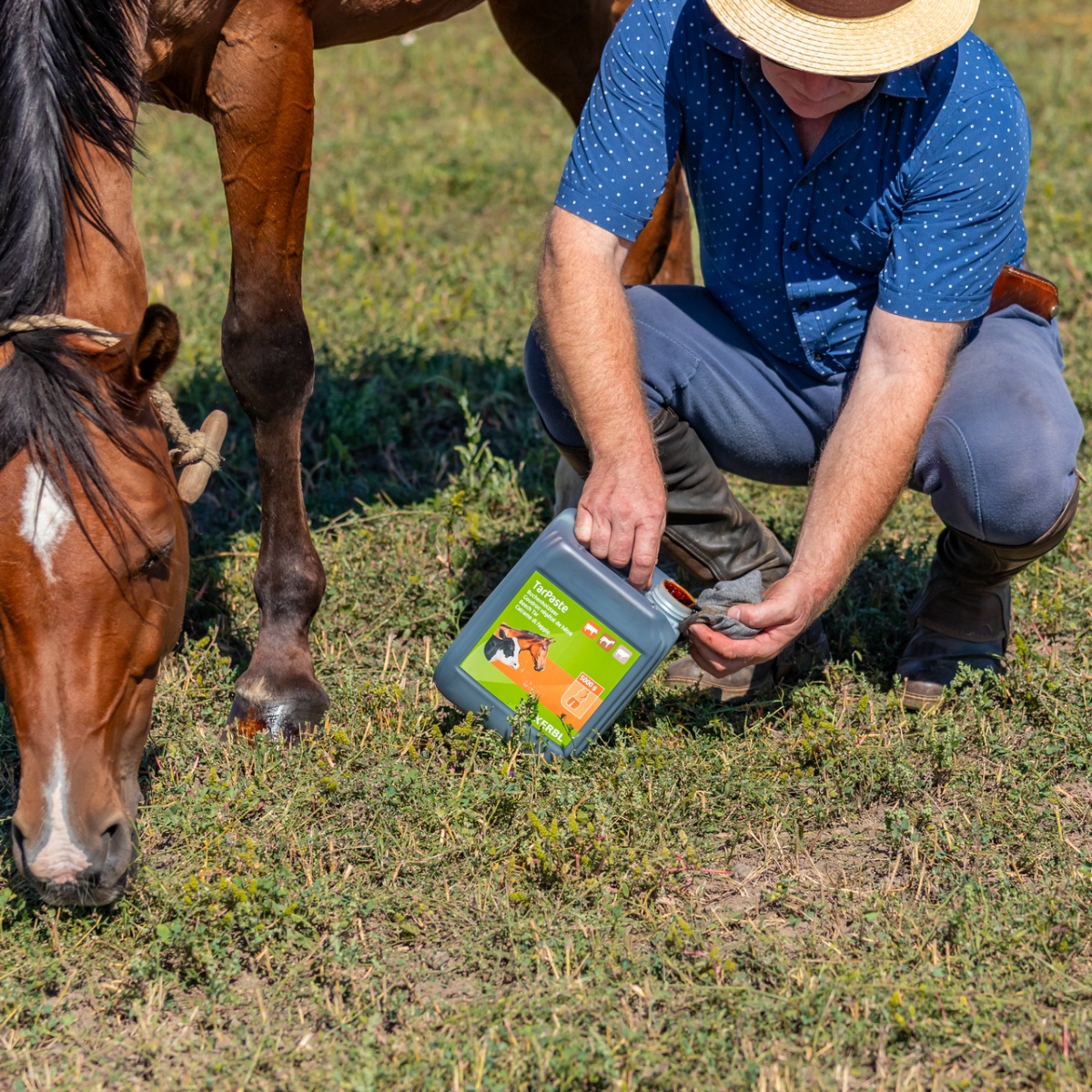 Bükkfakátrány paszta, TarPaste, 5 kg