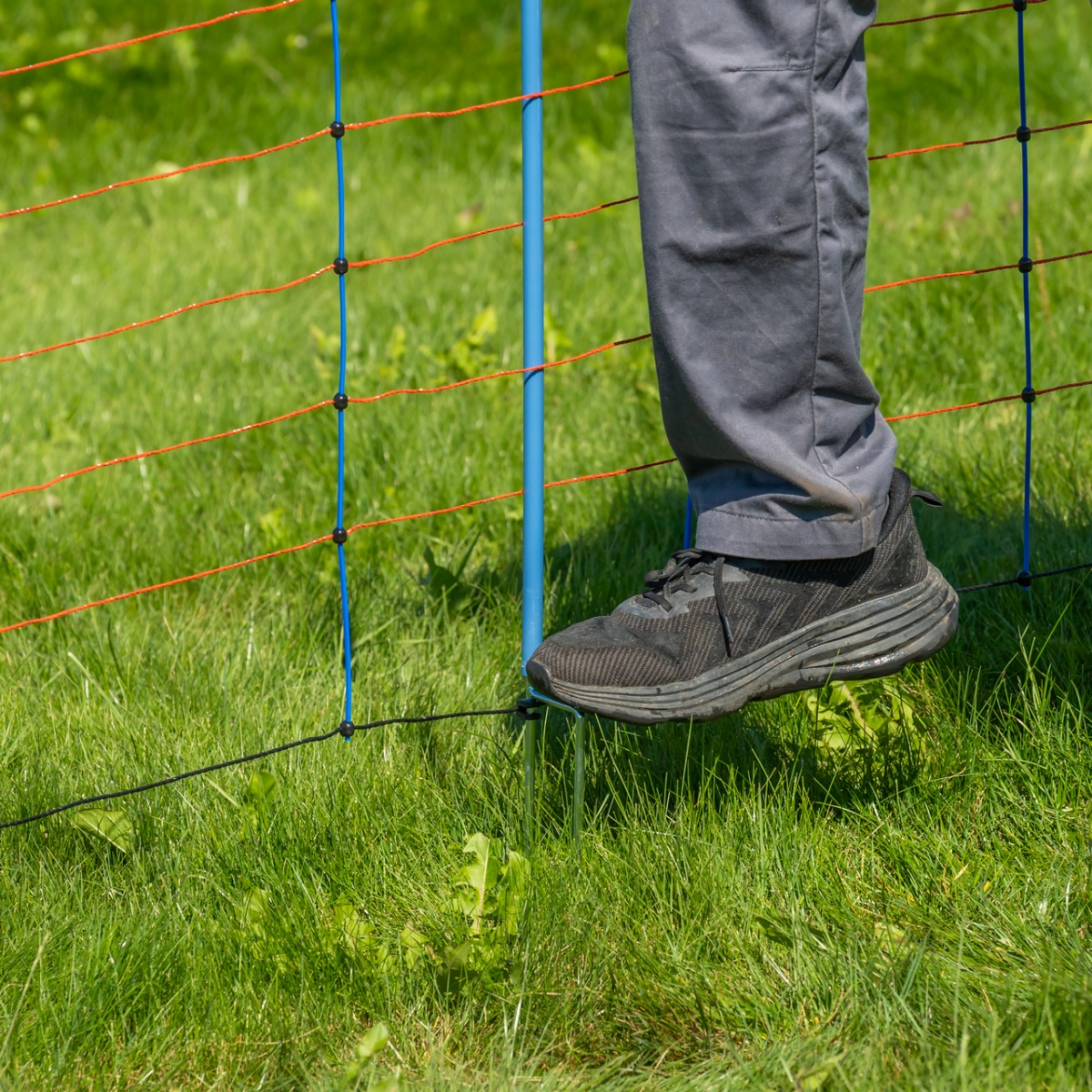 Villanypásztor háló, TitanNet Premium, 50 m × 90 cm