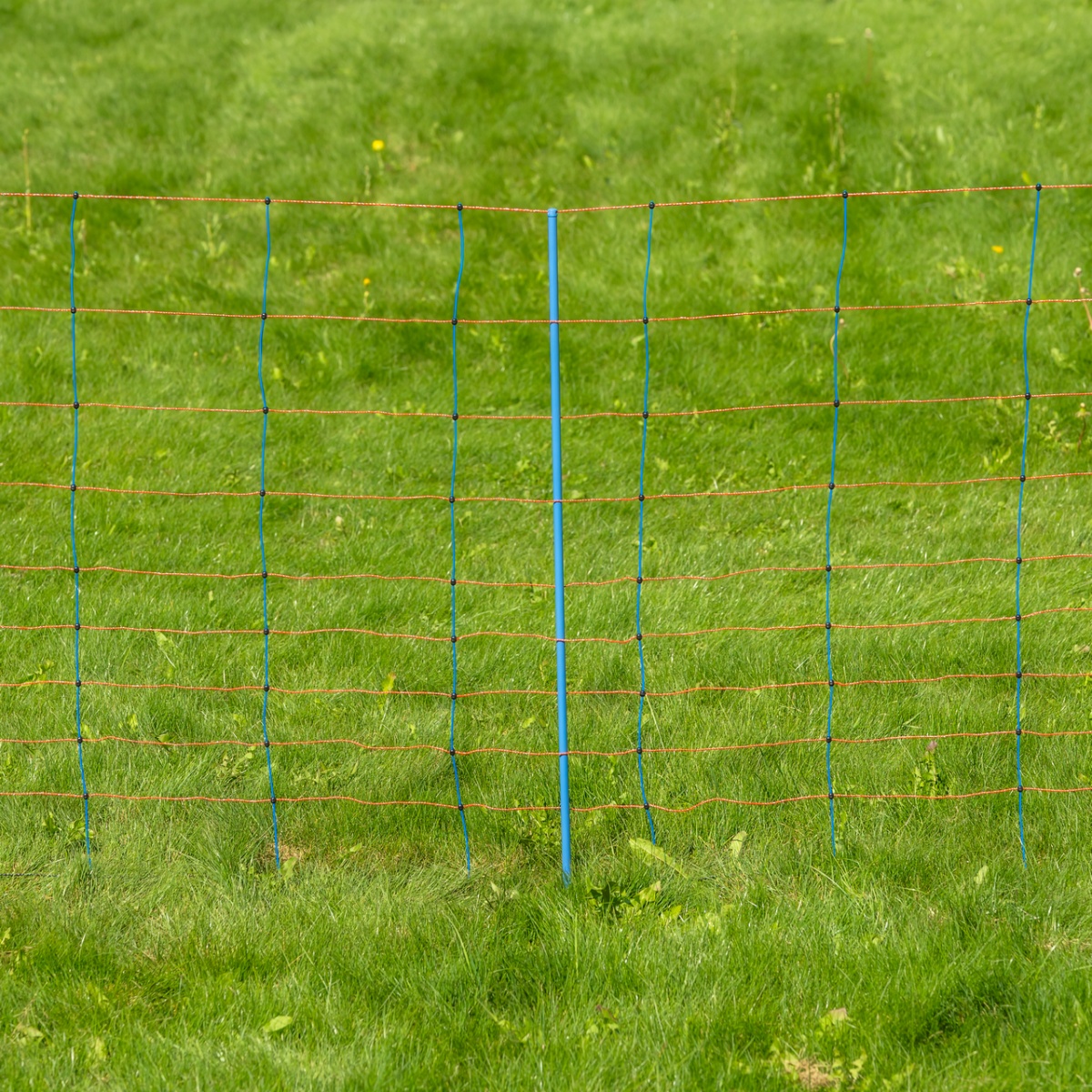 Villanypásztor háló, TitanNet Premium, 50 m × 108 cm