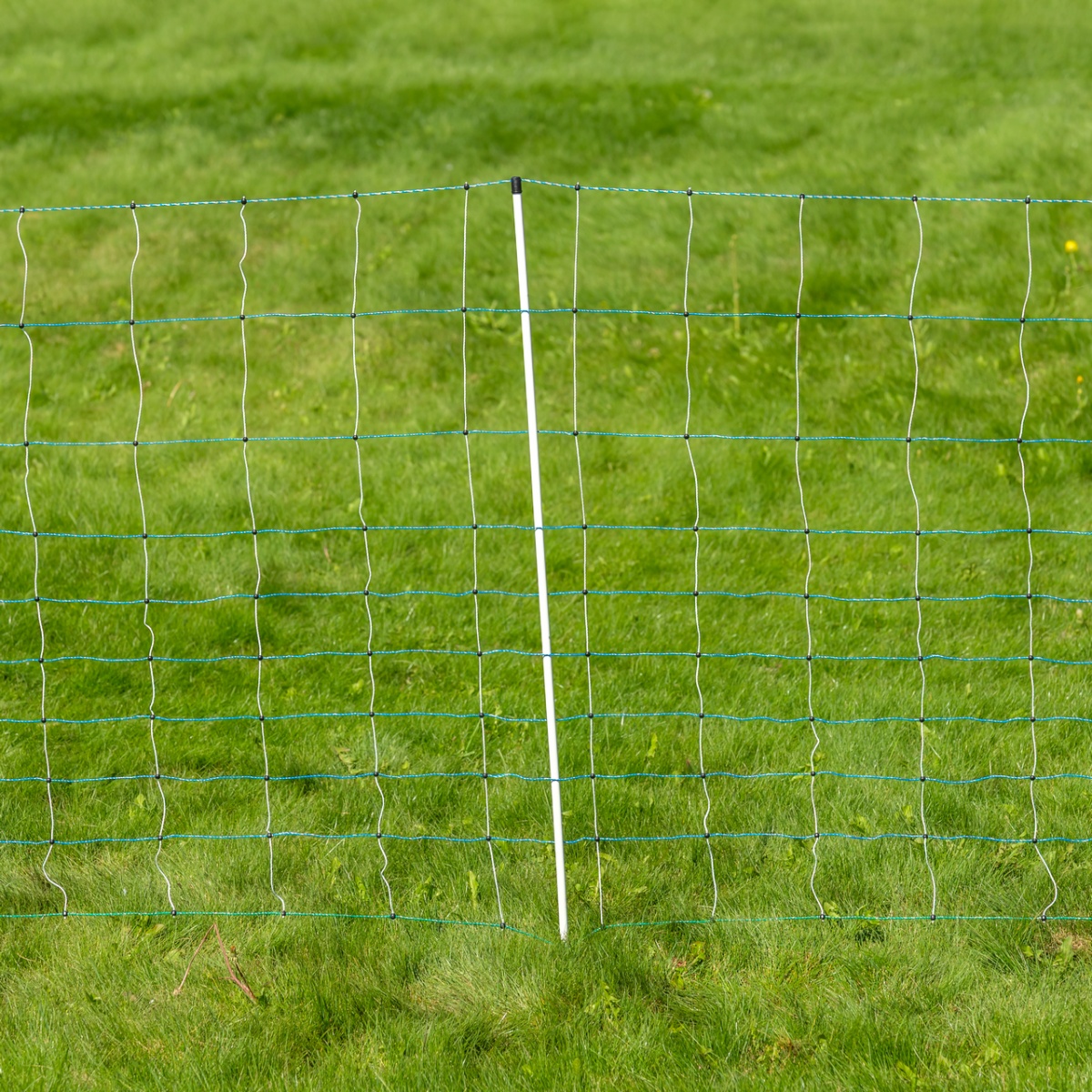 Villanypásztor háló, OviNet Maxi, 50 m × 122 cm