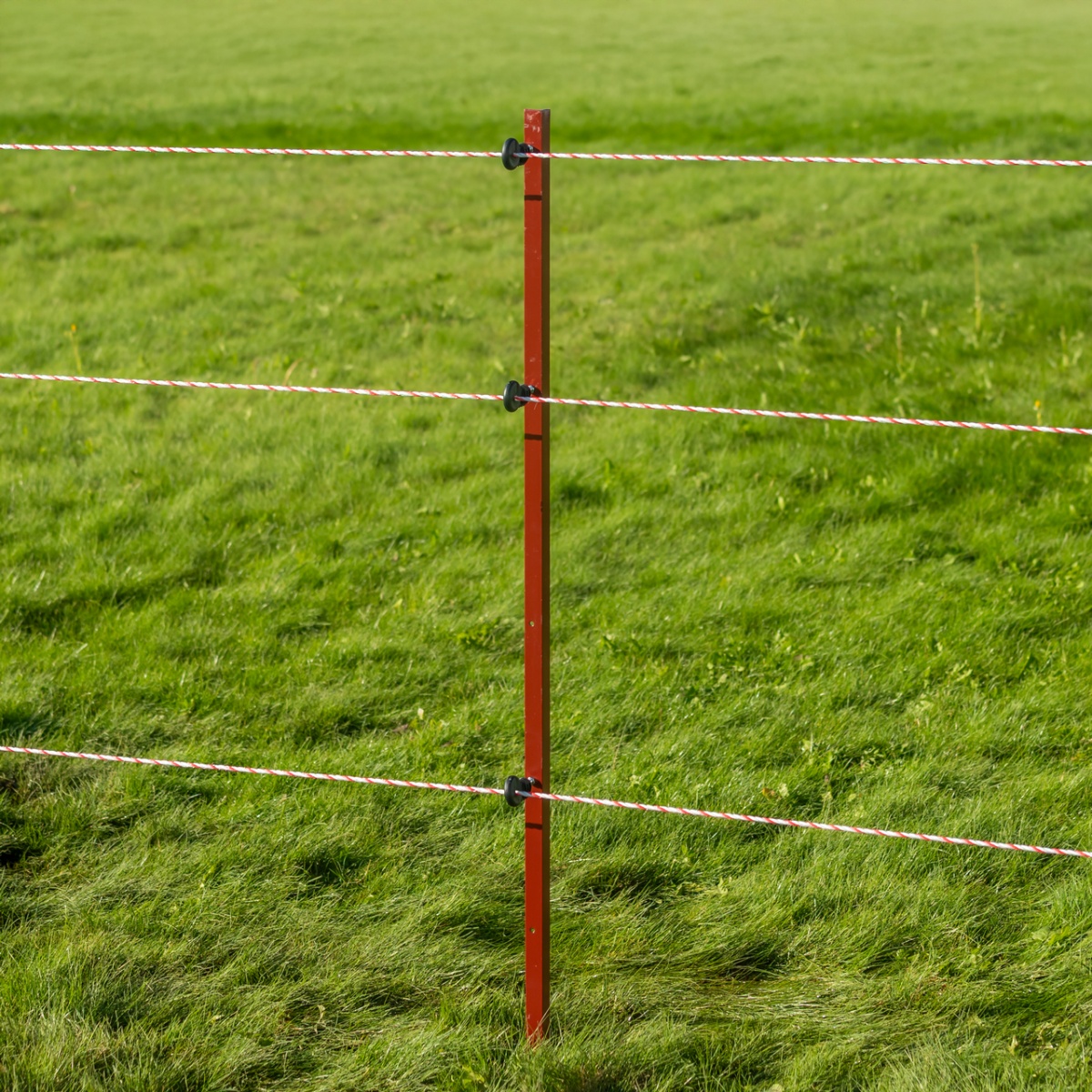 Szögacél fémoszlop, 25 × 25 mm, 150 cm, 10 db.