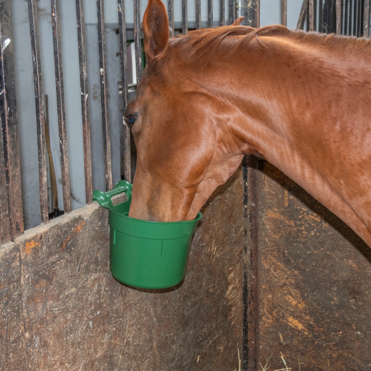 Etetővödör akasztófüllel, 8 literes hengeres forma, sötétzöld