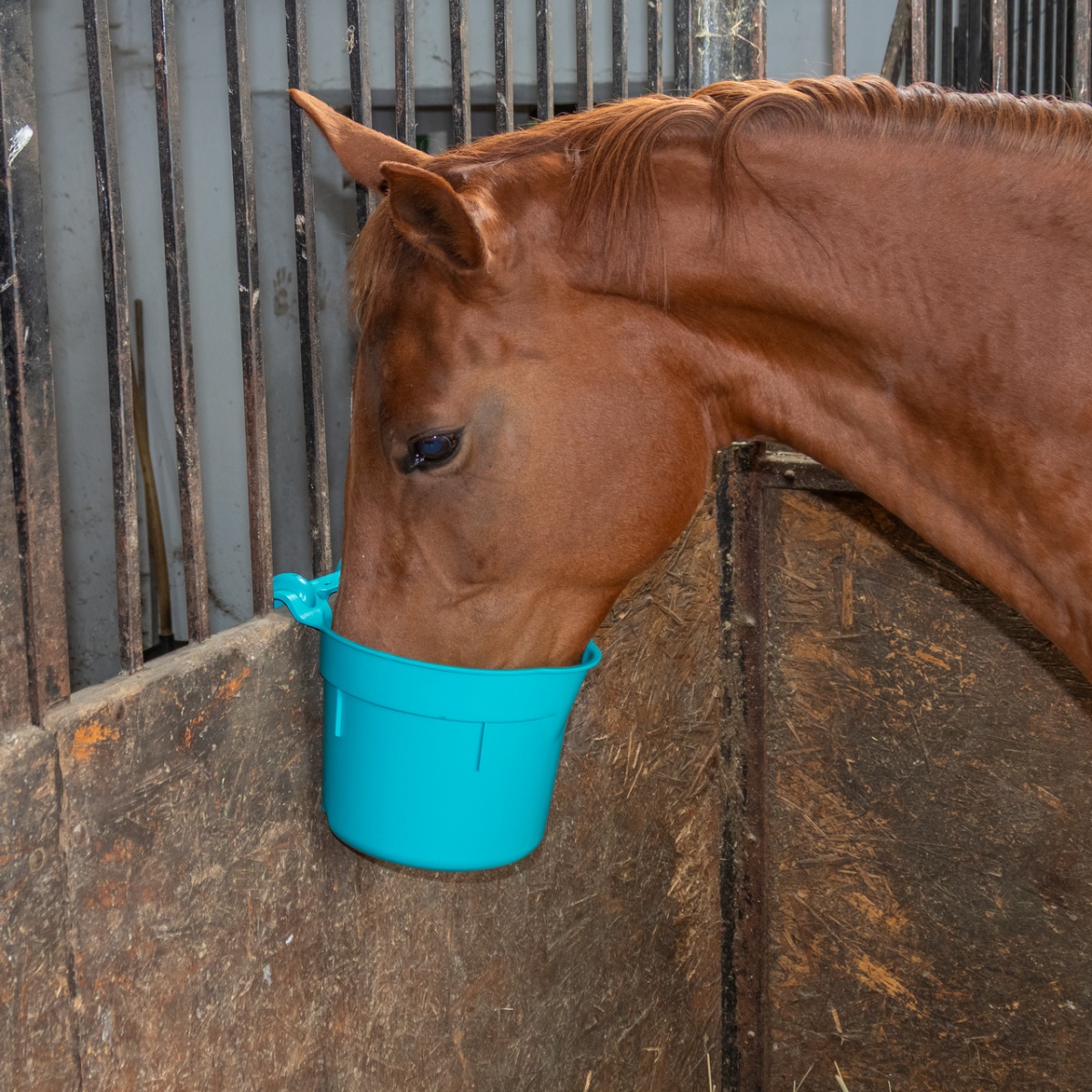 Etetővödör akasztófüllel, 8 literes hengeres forma, türkiz