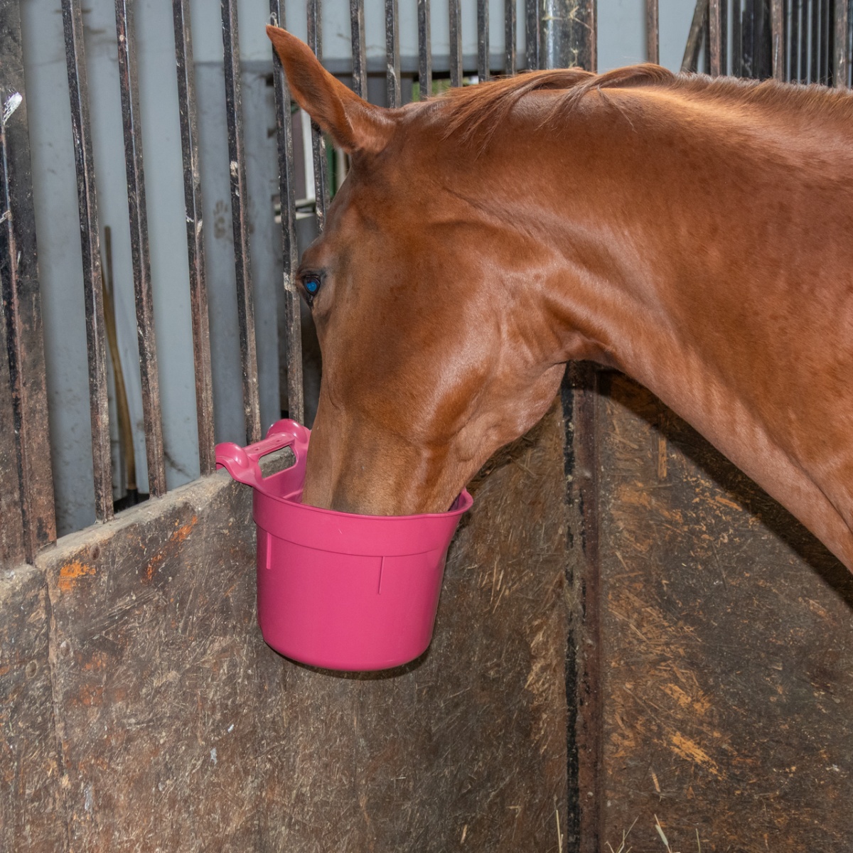 Etetővödör akasztófüllel, 8 literes hengeres forma, bordópiros