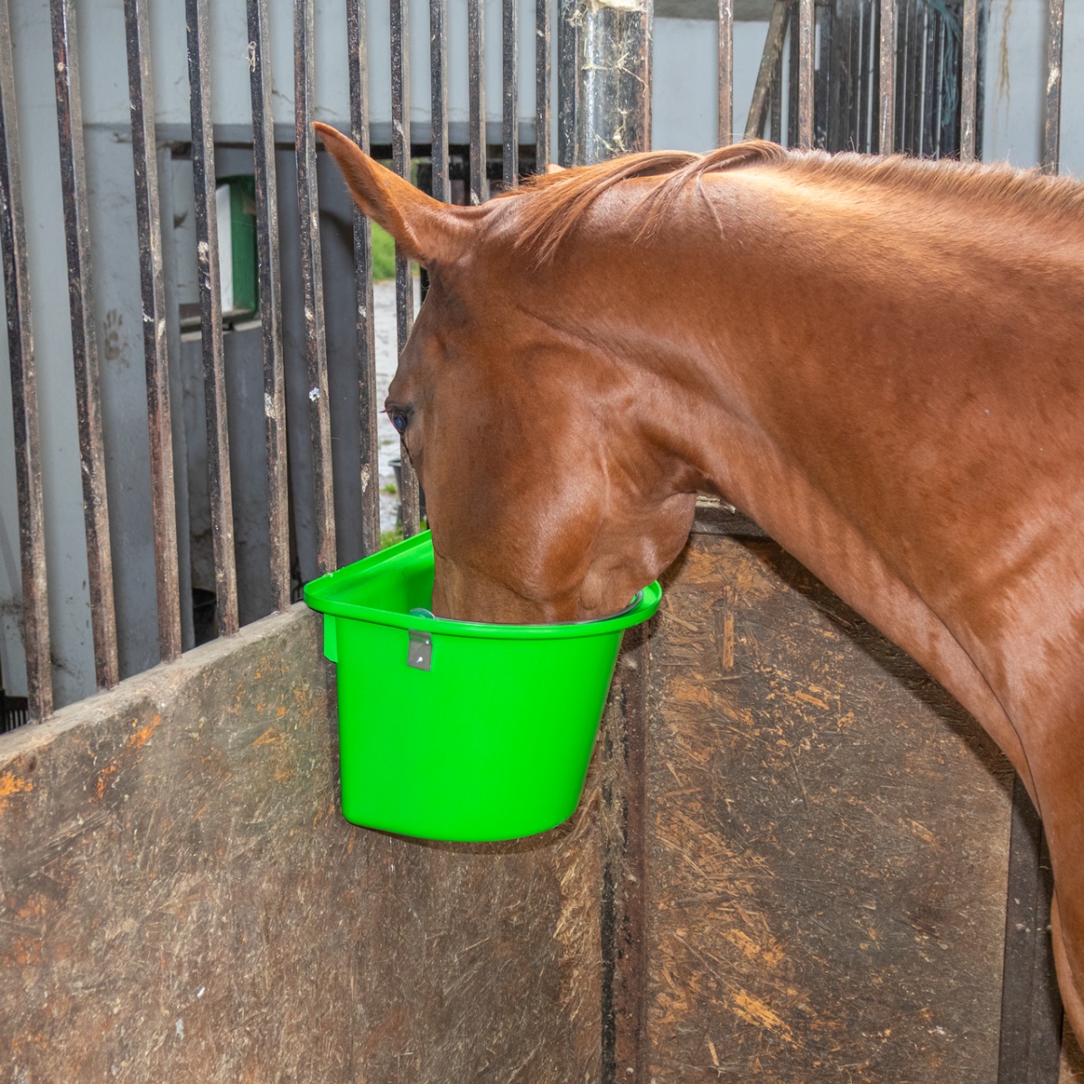 Etetővödör lovaknak, fémrögzítővel és füllel, zöld, 12 literes