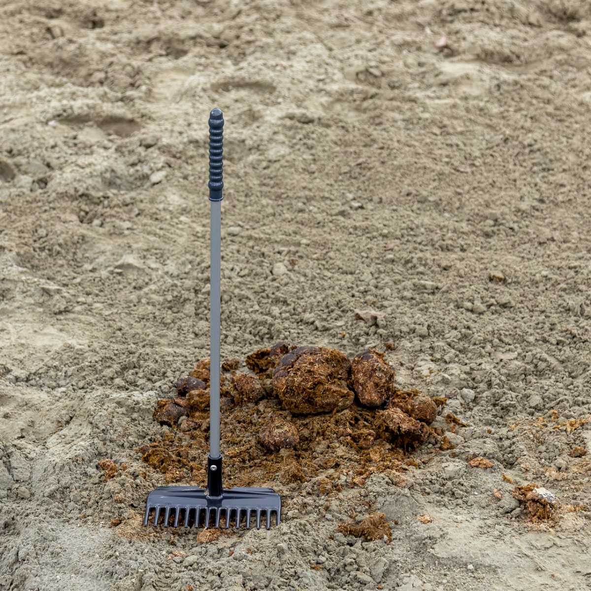 Mistboy Mini trágyagereblye, fekete, 60 cm