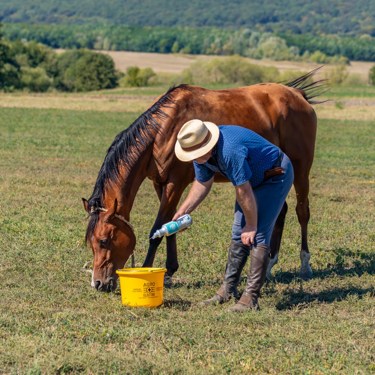 Lósampon, MagicBrush, 1000 ml