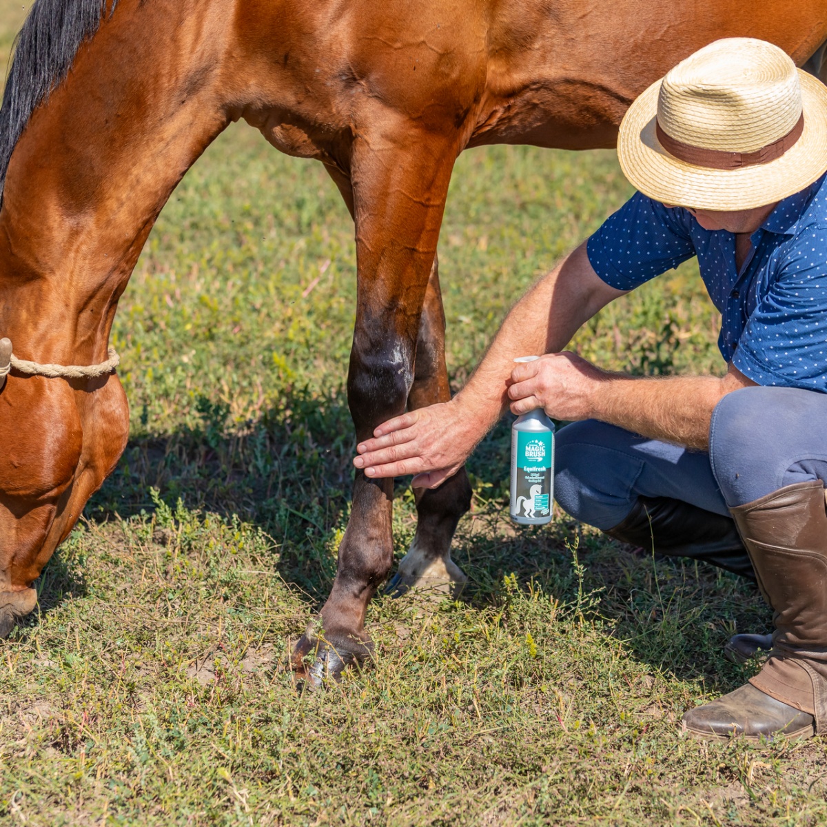 Hűsítő balzsam lovaknak, MagicBrush, 500 ml