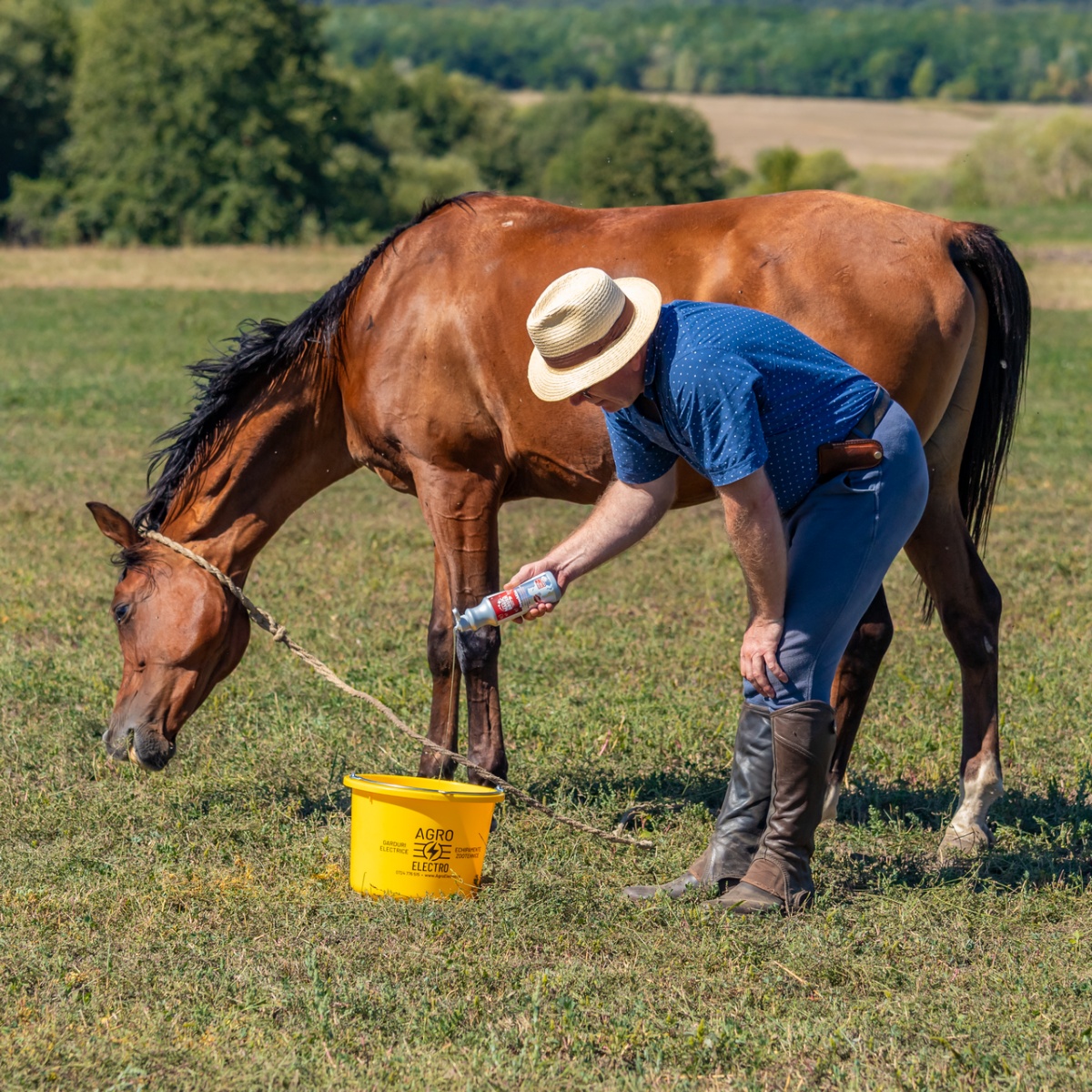 Lósampon, FrenchKiss illattal, MagicBrush, 500 ml
