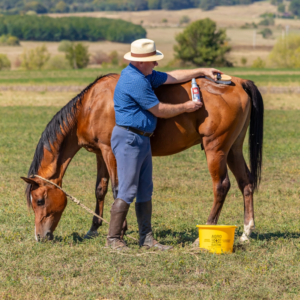Lósampon, FrenchKiss illattal, MagicBrush, 500 ml