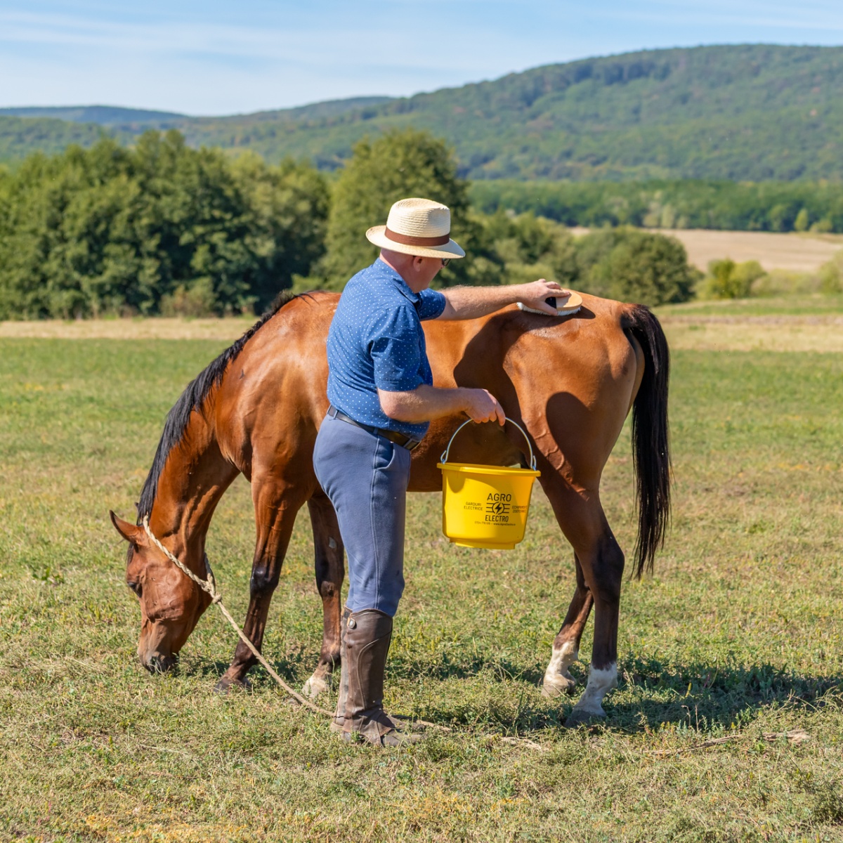 Lósampon, FruitExplosion illattal, MagicBrush, 500 ml