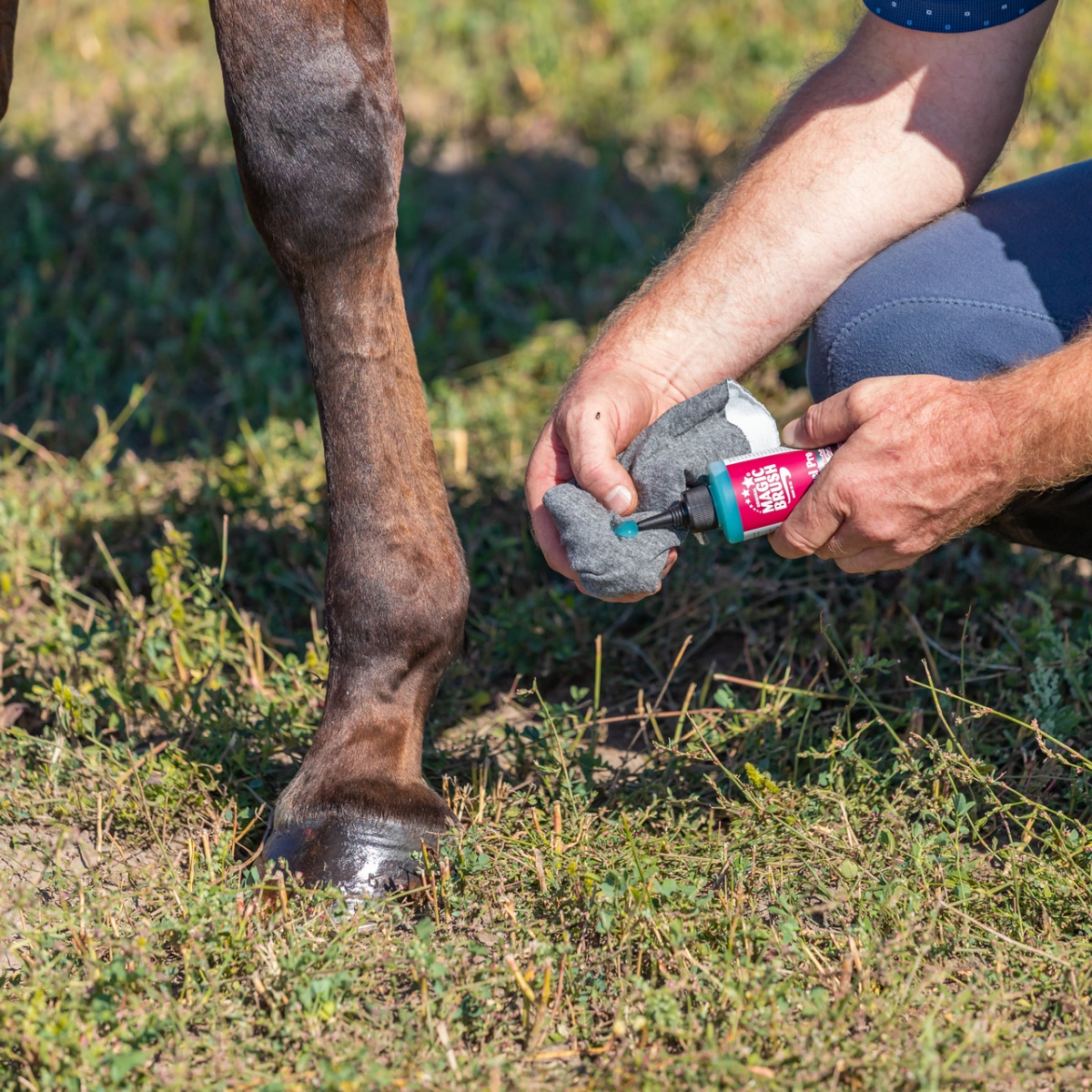 Patagél lovaknak, MagicBrush, 200 ml
