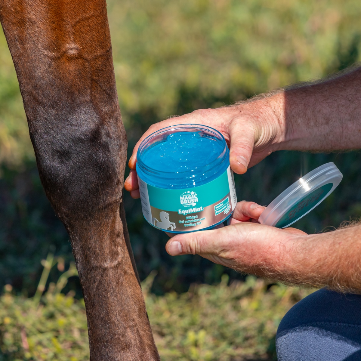 Hűsítő gél lovaknak, MagicBrush EquiMint, 500 ml